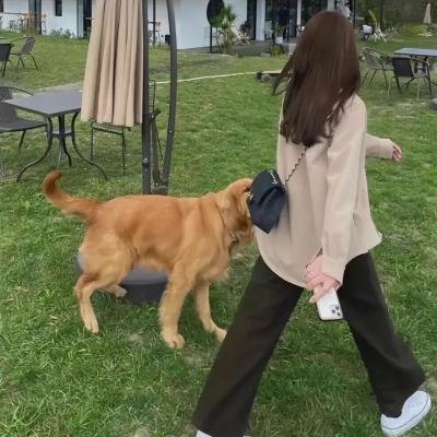 关于爱